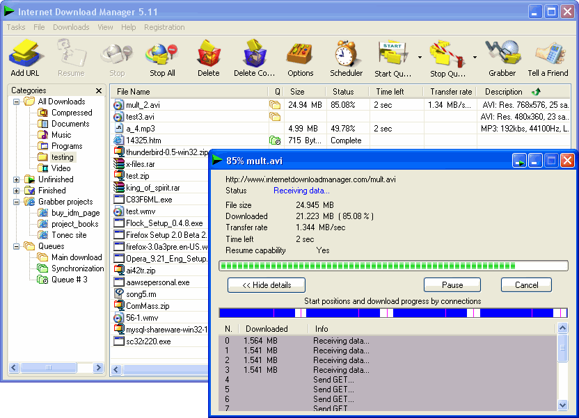 Internet Download Manager 2025